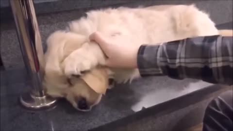 Episode 64 - Cannot stop laughing