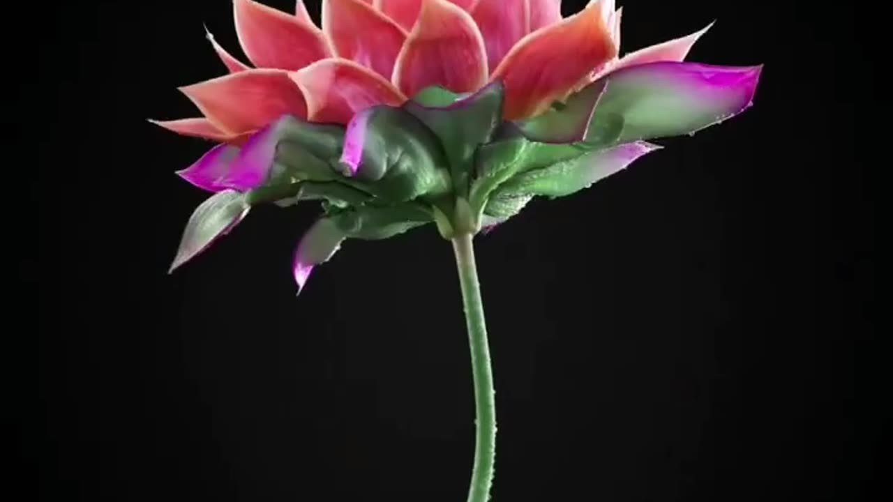 Beautiful Flower | Human Face Flower | Vfx Art Work