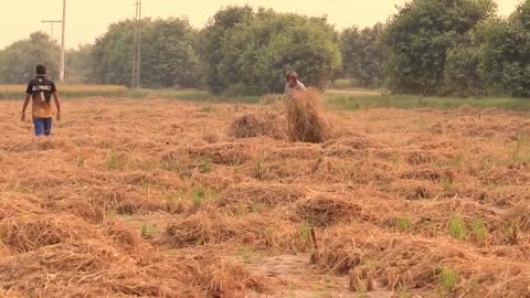 Bushman Prank | Funniest Prank in Village