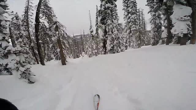 Fresh Powder!