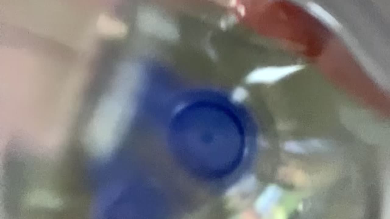 Water bottle asmr