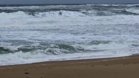 Ocean View