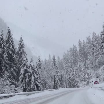 "Winter Wonderland" or "The Snowy Escape"