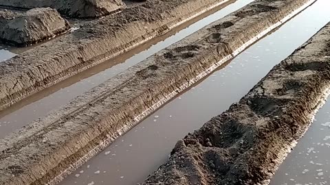 Watering field for crop