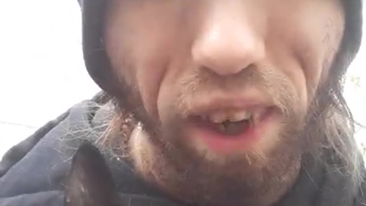 [Cyraxx Youtube 2021-10-23] My stray Fur baby Showed up