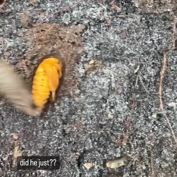 No body home go away 😂😂