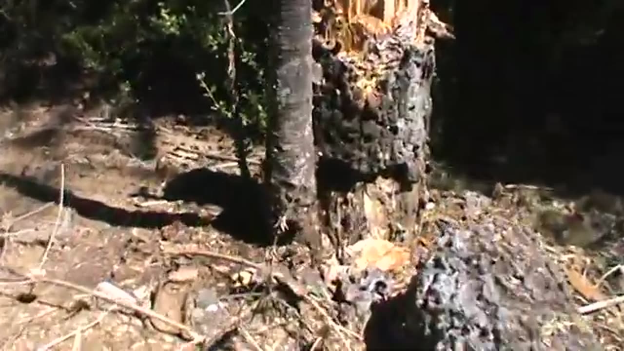 extraños pulsos luminicos desde el sur de chile