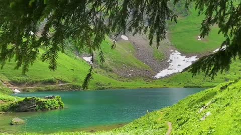 Amazing Nature🌿 🎥@landscapes_sisiswiss