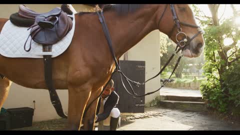 African American man installing the dressage horse saddle