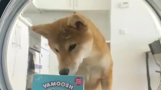Need me one like this (