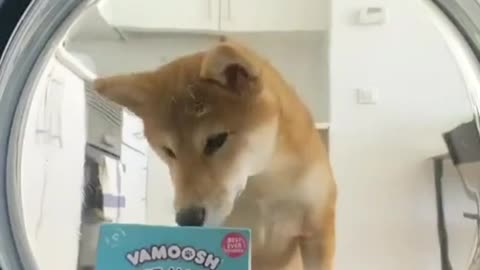 Need me one like this (