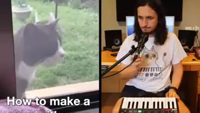 How to make a song with your neighbour's cat (Let Me In)