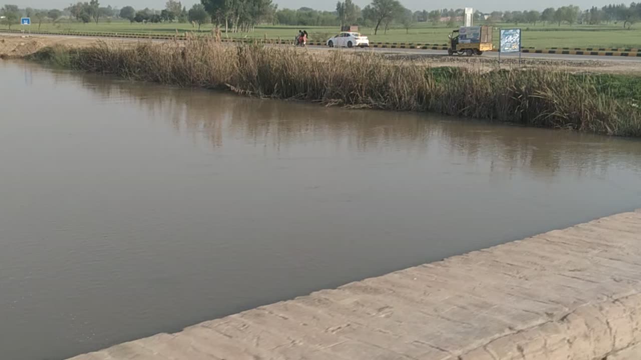 Desi Totky