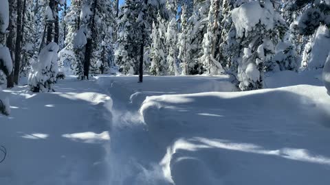 BOGO on Log Cabin Shelters – Central Oregon – Swampy Lakes Sno-Park – 4K