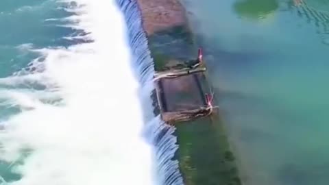 This is a beautiful and charming water-dwelling species