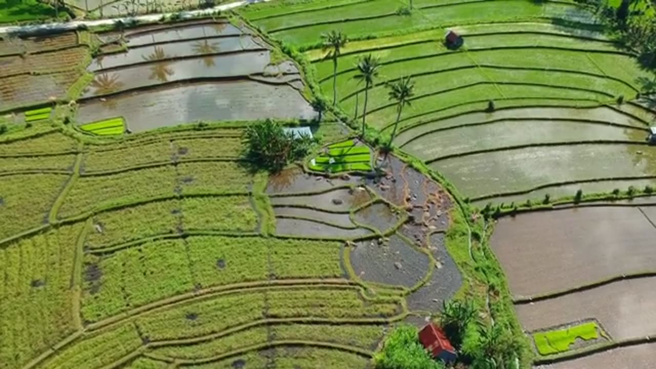 Indonesia in Bali Video Background and Music