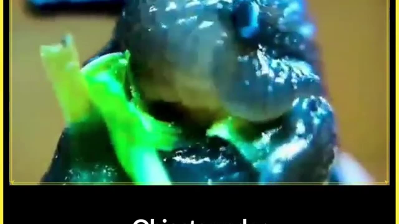 Electron Microscope!!