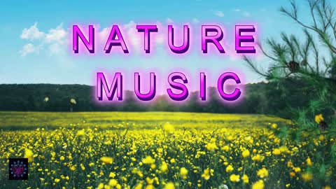 Relaxing Music | Sleeping, Meditation, Stress Relief | [6684] ⭐️