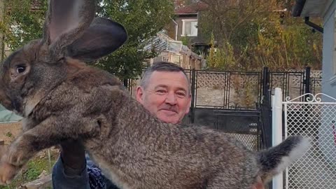 Man Holds Up Giant Rabbit