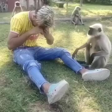 Animal but same people