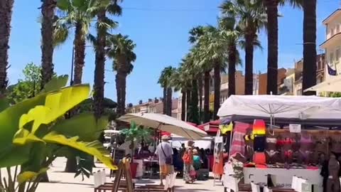 A summer in South of France