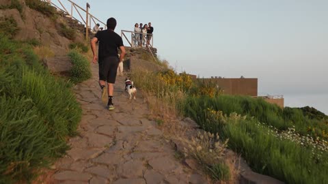 💥Hombre corriendo con dos perros