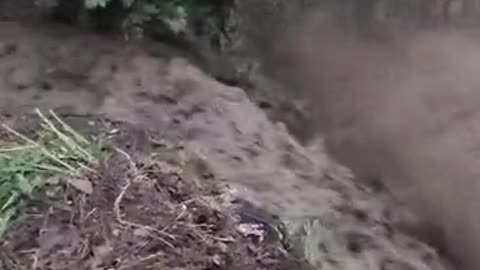Banorët e fshatit Gribë të izoluar