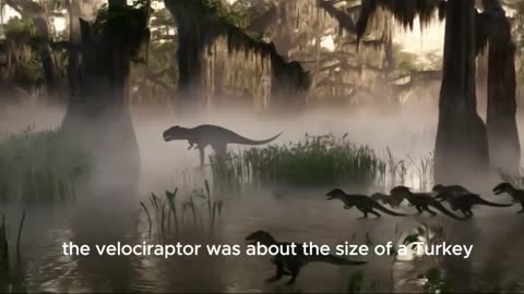 Velociraptor The Intelligent Pack Hunter!