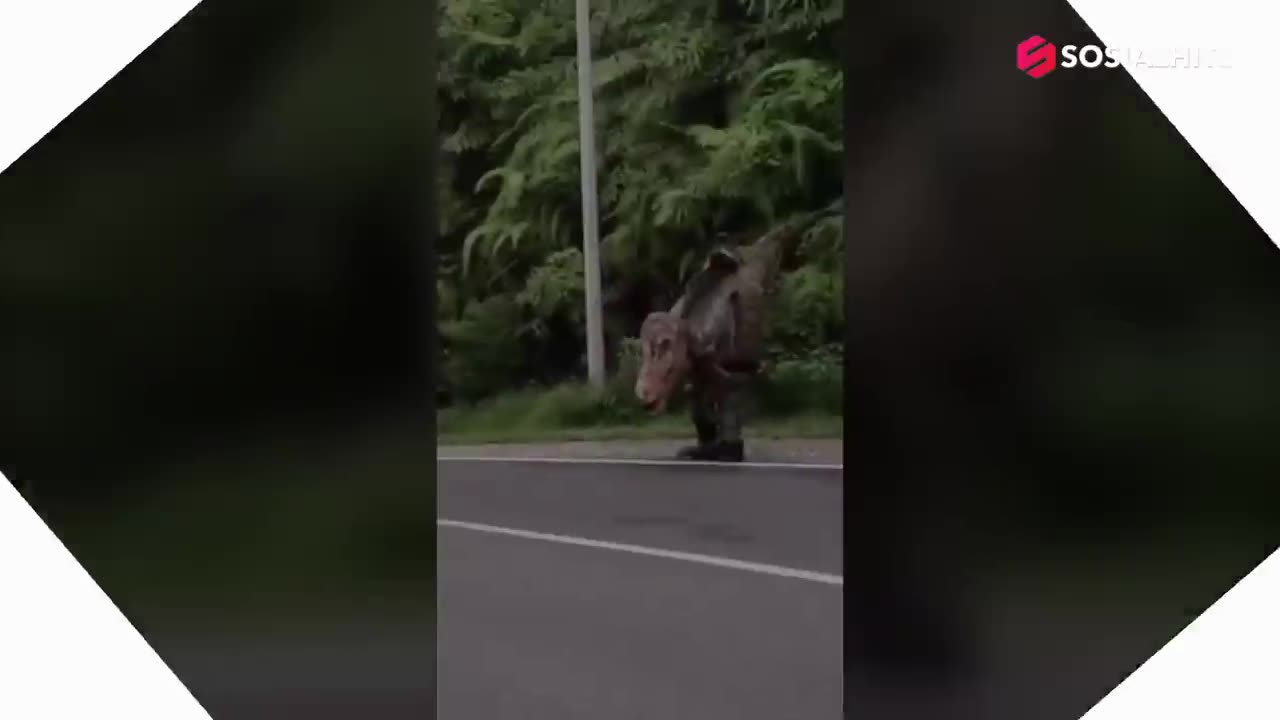 Katanya sudah punah, ini penampakan dinosaurus.