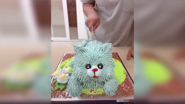 Cat Reaction to Cutting Cake Funny Dog Cake Reaction Compilation