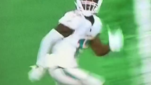 aylen waddle touchdown for the Miami Dolphins