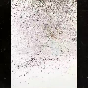 Schwebelroom Promo 6