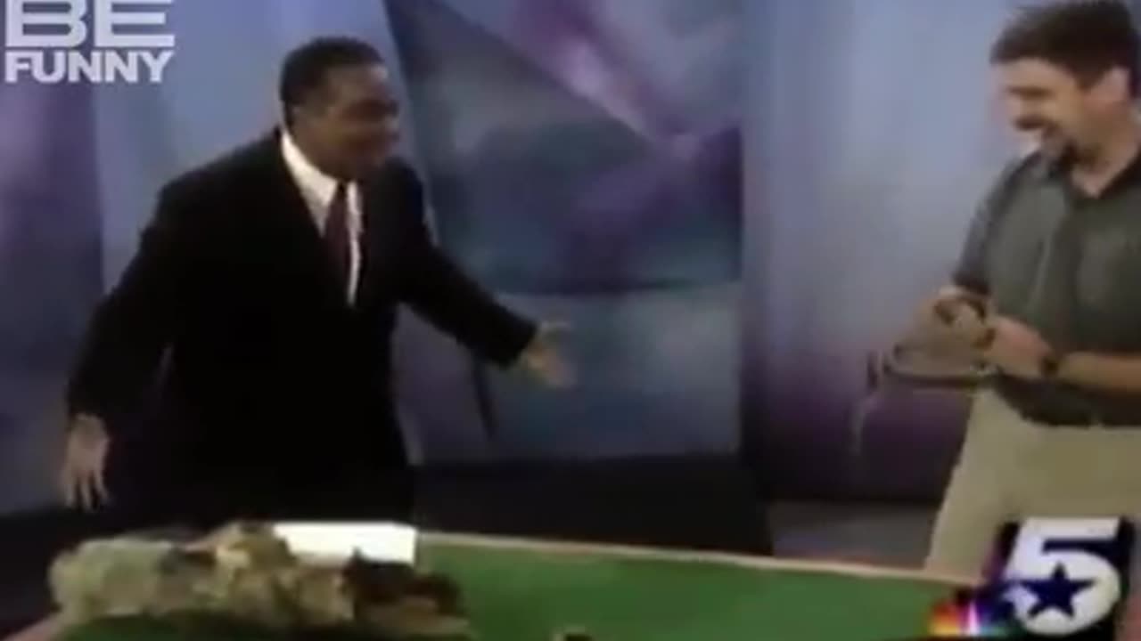 Best Animal News Bloopers