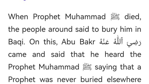 6 facts about Roda Rasool S.A.W