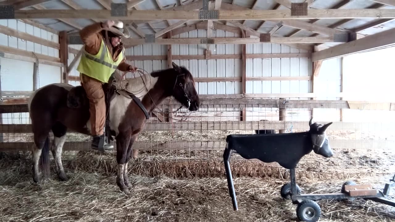 Two clips of stationary roping dummy practice 18 March 2023