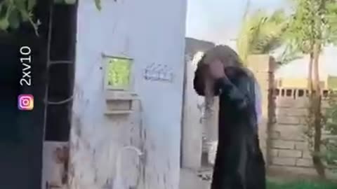 Funny Video and hilarious