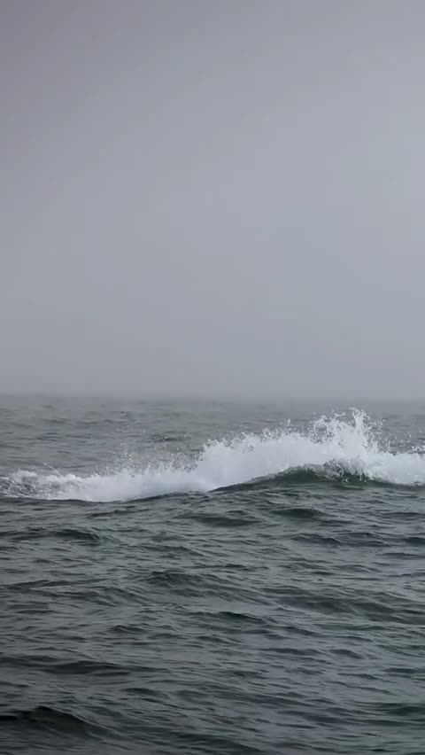 the beautiful nature