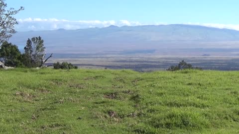 Kailua-Kona, HI — Pu'u Wa'awa'a Summit Trail