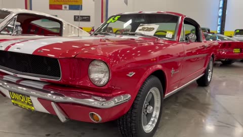 Row of Beautiful Ford Mustangs