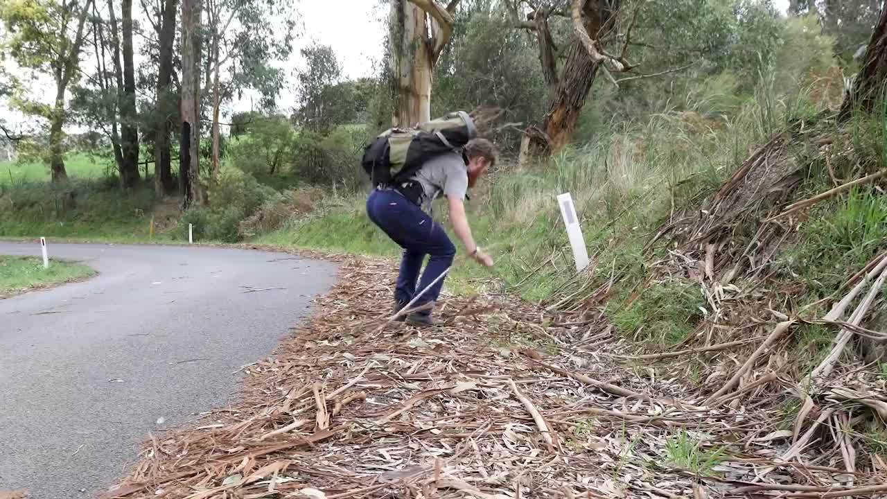 Planting a small forest in 24 hours (1440 trees)