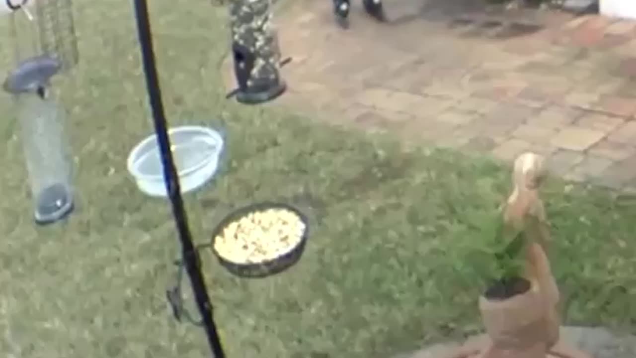 Epic slippery funny fails