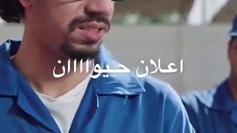 إعلان حيوان 🤣🤣🤣