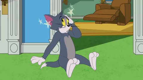 Tom 7 Jerry _ the cricket problem WB Kids