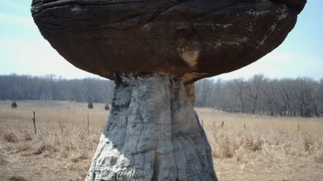 Did You Know? Mushroom Rock || FACTS || TRIVIA