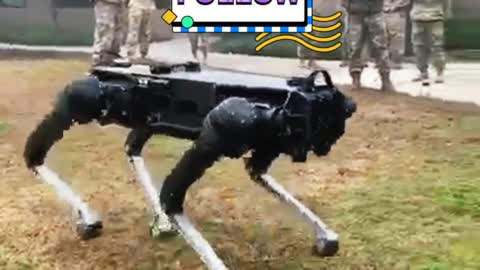 robot dog demostrated for calefornia air national gurd || proud for our nation || usa is the best.