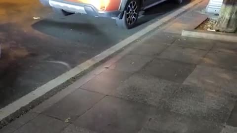 fatty demon pig - 2024 - November 8th part 004