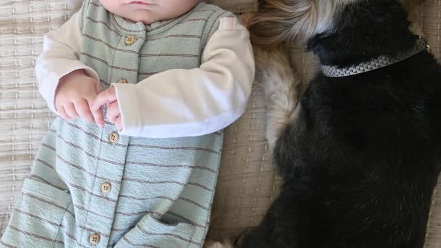 Baby Enjoy with Dog #dog #baby