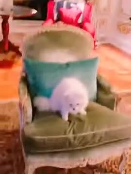 20181124文贵先生视频：Snow，这江湖是你混的了的吗