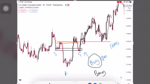 QUASIMODO ( QM ) BULLISH