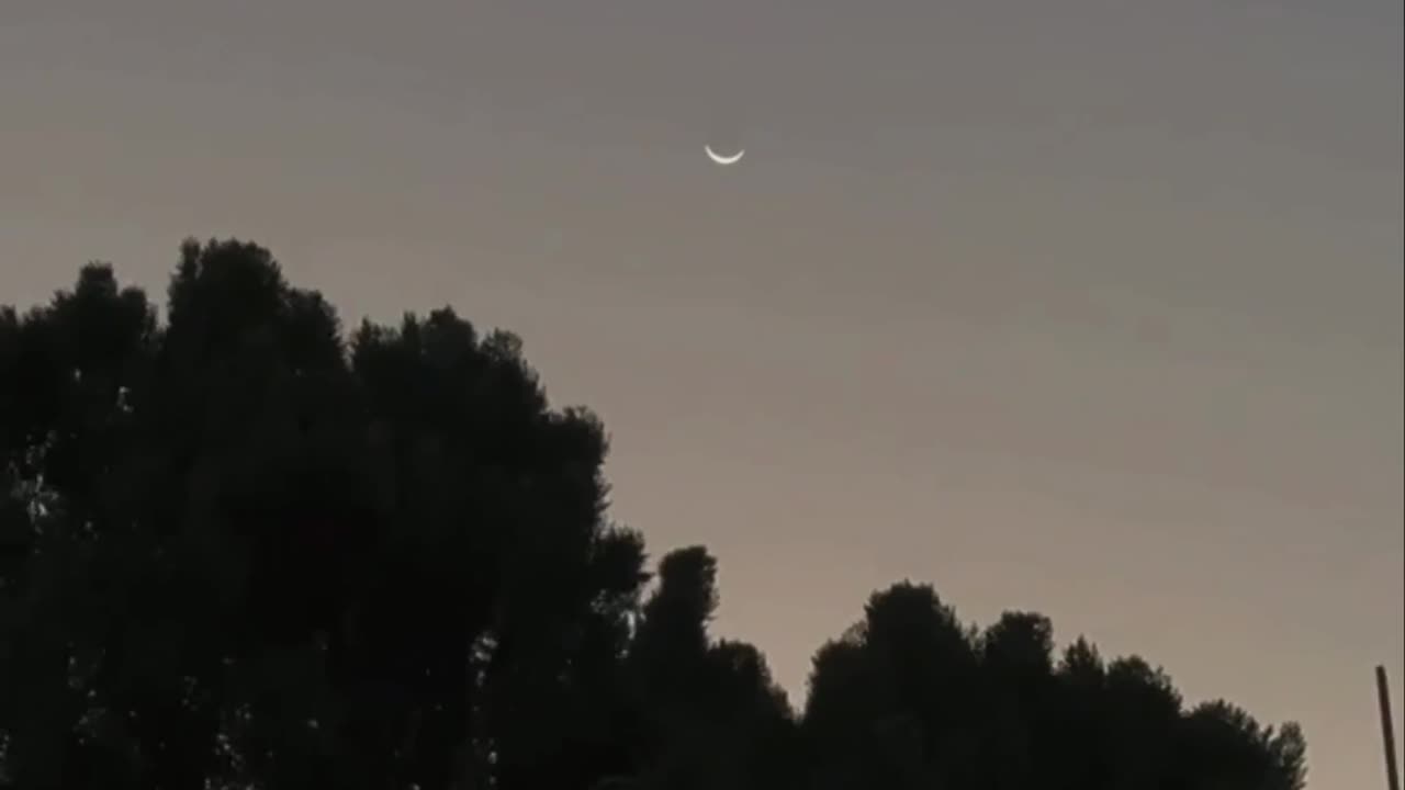 short video